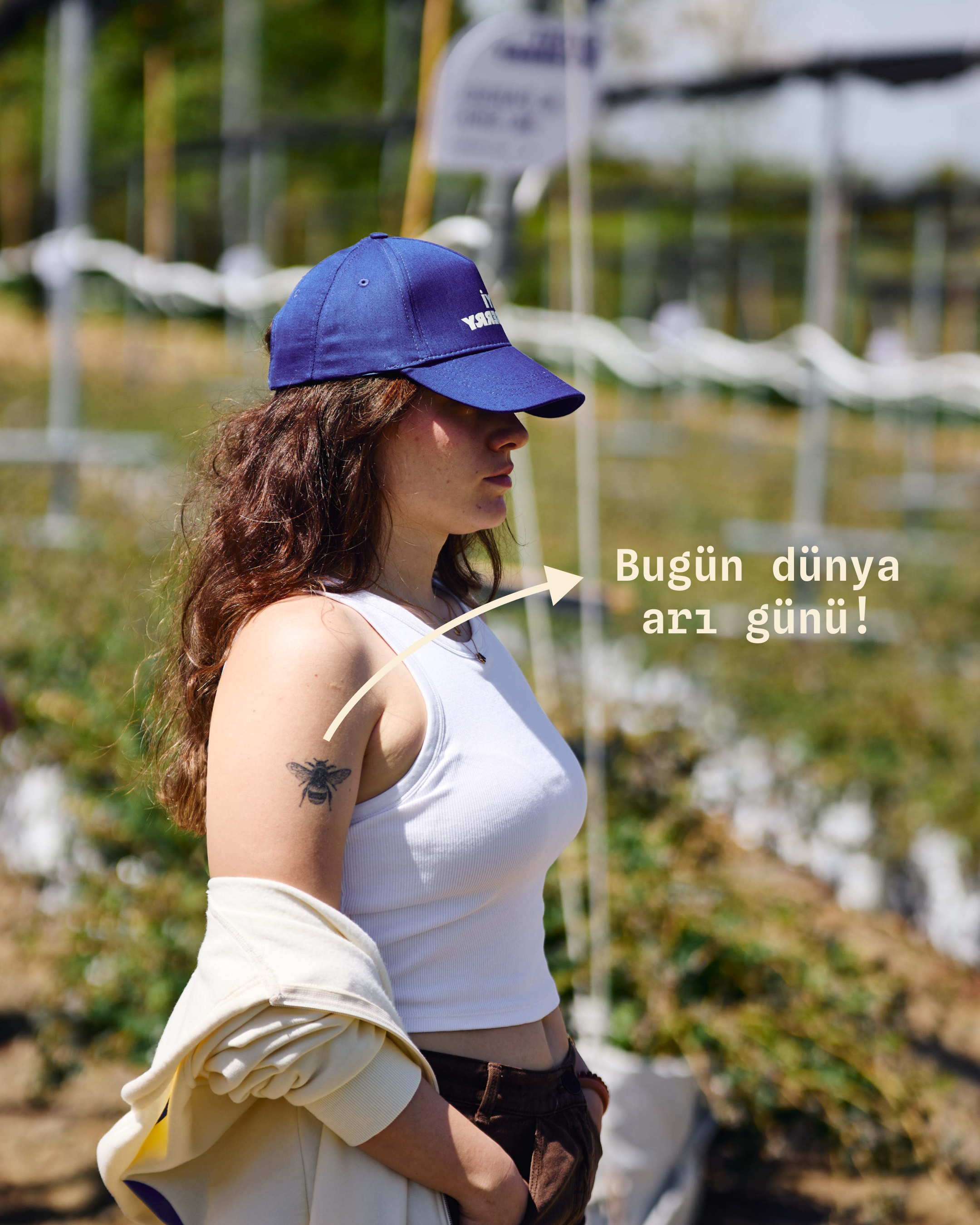 Dünya arı günü kutlu olsun! 🐝  İyiBerry’lerimizi yetiştirmemizde yardımcı olan, doğanın eşsiz dengesinin en güzel göstergesi: arılar.  Bahçemizde yalnız değiliz. Her çiçekte sabırla dolaşan bombus arılarımız sayesinde yüksek aromalı yaban mersini yetiştiriyoruz 💙🫐 İyi ki varlar 🐝  Biliyor muydunuz?  Bahçemizdeki bombus arları, çiçekleri titreştirerek “buzz pollination” yaparlar.  Bu yöntem özellikle yaban mersini, domates ve bazı kırmızı meyveler için çok etkilidir.  Ayrıca bombus arıları sayesinde: daha iyi meyve tutumu, daha iri meyve, daha homojen hasat elde edilir.  Son olarak, çok yakında ön siparişlerimiz açılacaktır! Bizi takipte kalın 🩵